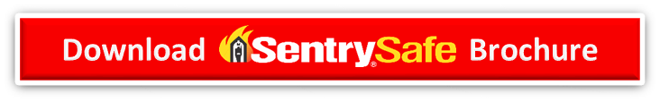 2018 Download SentrySafe brochure_1.png